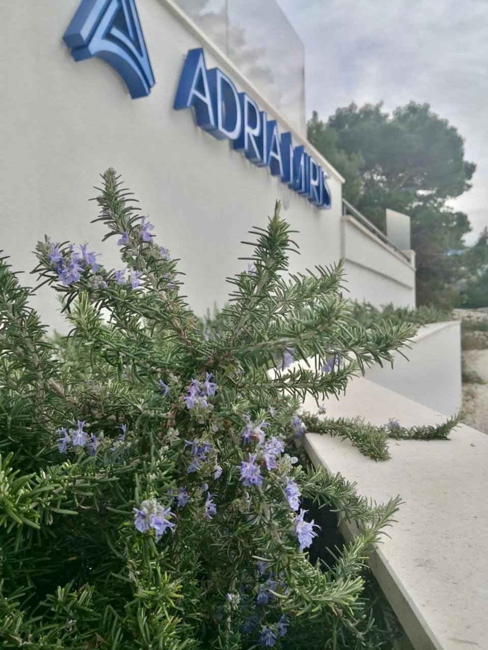 Adria Miris Apartments Drašnice Exterior foto